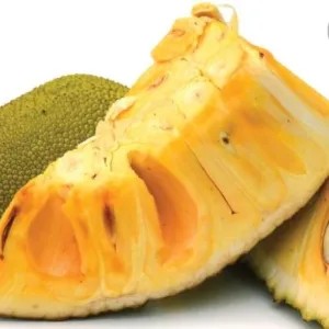 NANGKA MATANG PERPOTONG