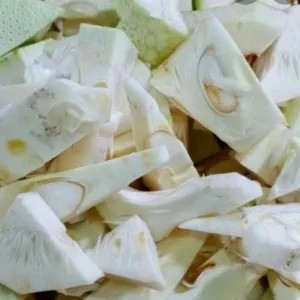 NANGKA MUDA  POTONG SAYUR GUDEG