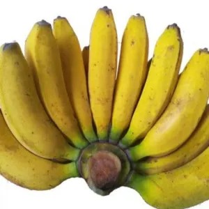 PISANG RAJA 1 SISIR