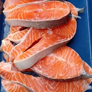 SALMON FRESH