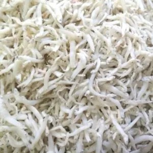 TERI MEDAN TAWAR TIDAK ASIN