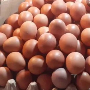 Telur ayam Negri 1kg