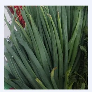 Daun Bawang 1 kg