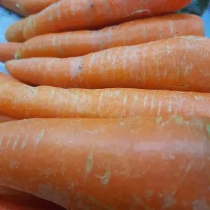 wortel medan (berastagi)