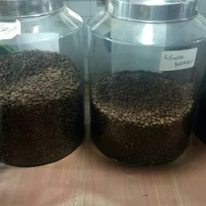 biji/bubuk kopi mandaling Medan 100g