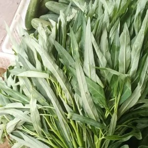 kangkung serimpi