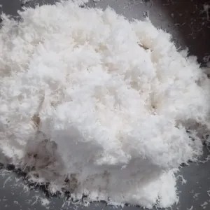 kelapa parud