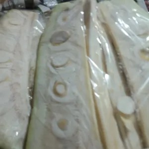 nangka muda 1KG