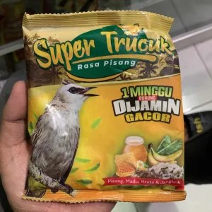 super trucuk