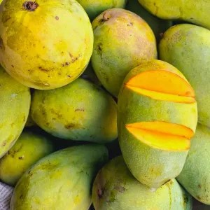 mangga harum manis super