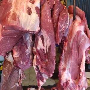 daging sapi lokal