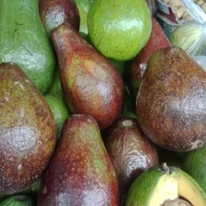 alpukat mentega matang 1kg