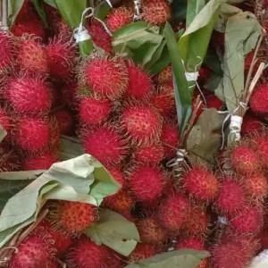 Rambutan Binjai 1Kg