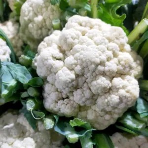 Brongkol/Brokoli Putih 500g