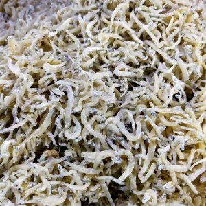 Ikan Teri Tawar Medan 100g