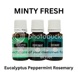 Minty Fresh Eucalyptus Radiata Peppermint Rosemary YL YLEO Essential Oil 5ml 10ml 15ml Blend