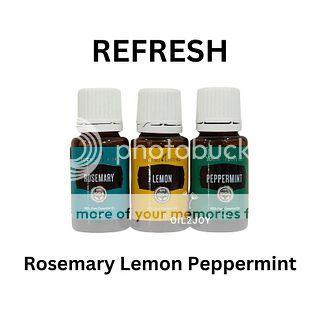 Refresh Blend Rosemary Lemon Peppermint YL YLEO Essential Oil 5ml 10ml 15ml