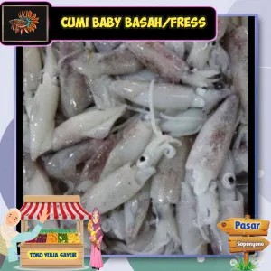 Baby Cumi cumi basah