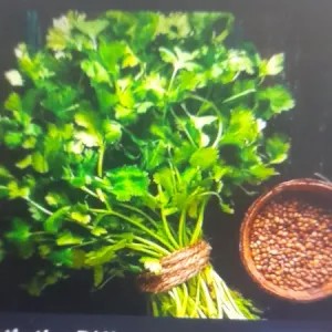 Daun ketumbar fresh 500g
