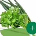 Daun prai +seledri