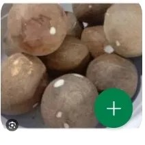 kelapa tua parut + air