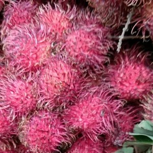 rambutan binjai 1kg