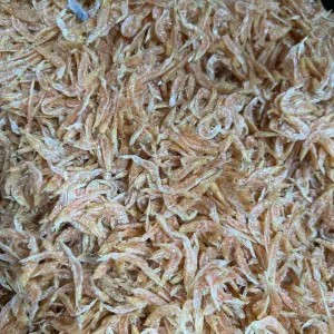 Udang Grago 50g