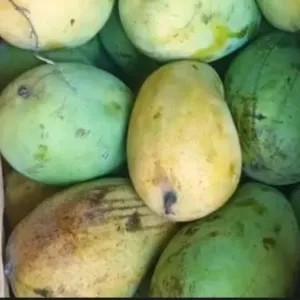 MANGGA HARUM MANIS 1 Kg