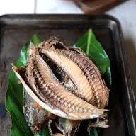 Ikan Tongkol Besar ½ ekor