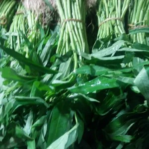 kangkung 1 ikat