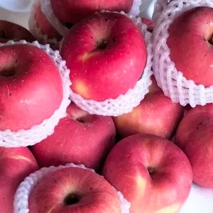 Apel Fuji PREMIUM by POHON the best Fuji