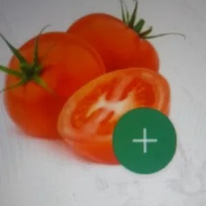 tomat besar[tomat buah 500g