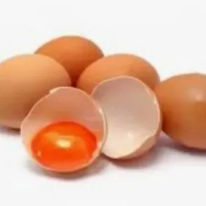 Telor ayam negeri omega 1 kg