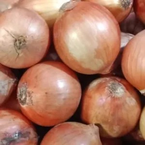 bawang bombay 1kg