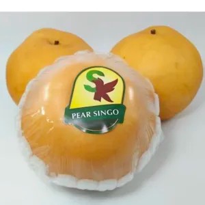 buah pear singo 1 kg