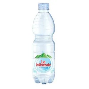Air Mineral Botol 600ml 600ml