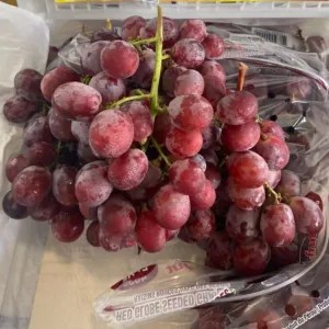 anggur merah australia