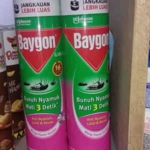 baygon 600ml 600ml