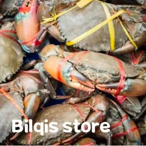 kepiting jumbo fresh segar 1 kg