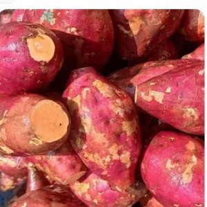 ubi madu merah special 1kg