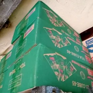 Sun Kara 1 Dus Isi 36 / Santan