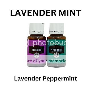 Lavender + Peppermint YL YLEO Essential Oil 5ml 15ml Blend