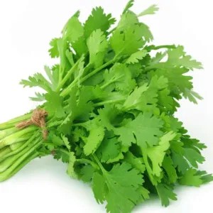daun ketumbar akar 1 bungkus 50g