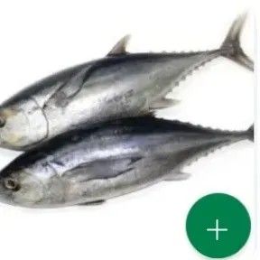 ikan tongkol segar 1kg