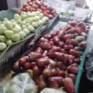 jambu air merah 1kg