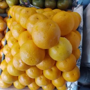 jeruk sunkist/import manis1kg