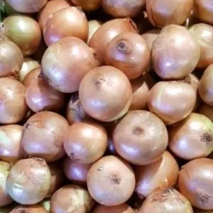 Bawang Bombay NewZealand