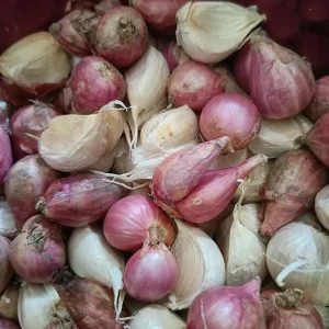 bawang merah dan bawang putih