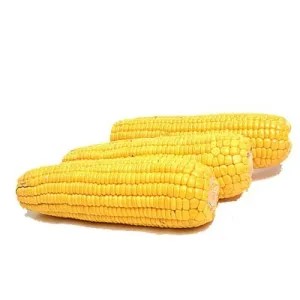 Jagung Manis 1Kg 1kg