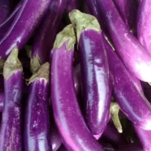 Terong ungu 1kg